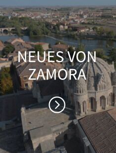 Neues von Zamora